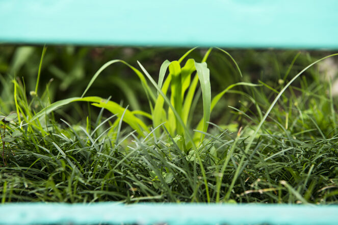 1306_FeSi_LEP_07_web