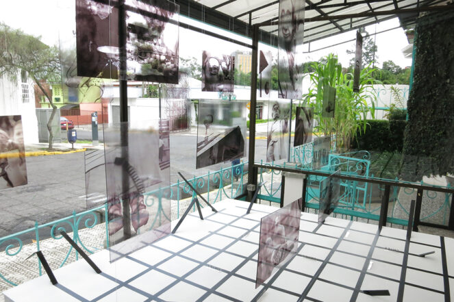 1309_TerrA_DML_Vit_34_web