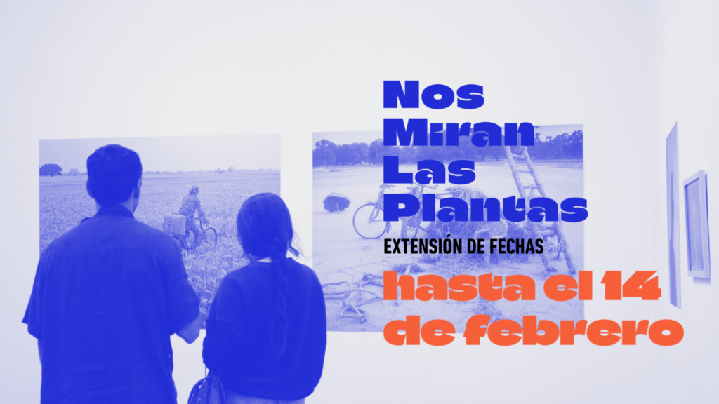 Nos Miran Las Plantas se extiende: activaciones en enero y febrero